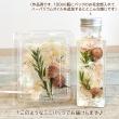 即日★フラワーアソートパック littlePetit(ナチュラル)はなどんやオリジナルアソート