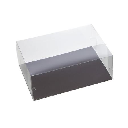 クレイ/clear case 31L21.5W11.5H/860-830-000
