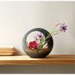 クレイ/AKEBONO BLACK 155-059-891