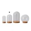 即日★クレイ/Glass Dome with Cork 7.5φ12H CLEAR/777-431-000