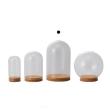 即日★クレイ/Glass Dome with Cork 10φ16H CLEAR/777-432-000