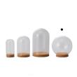 即日★クレイ/Glass Dome with Cork 12φ12H CLEAR/777-433-000