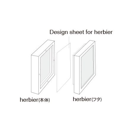 クレイ/Design Sheet for herbier CLEAR/860-919-000