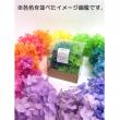 即日★【プリザーブド】東花/FM ソフトアナベル キャンディBOX  約1輪 ライラック&パープリッシュブルー/80606