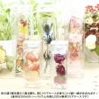 即日★PETクリアケース ハーバリウム100ml用(角瓶・丸瓶兼用)(はなどんやオリジナル)