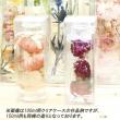 アウトレット◎即日★PETクリアケース ハーバリウム150ml用(角瓶・丸瓶兼用)(はなどんやオリジナル)
