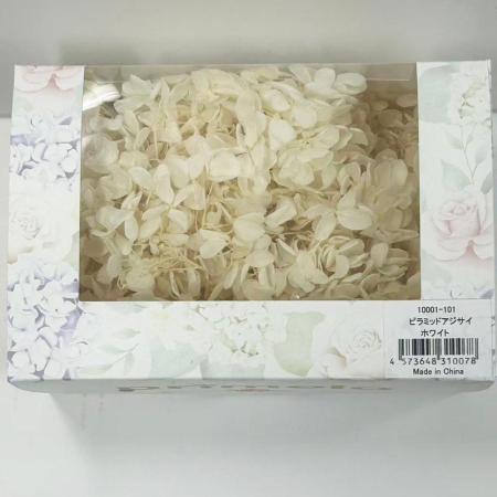 即日★【プリザーブド】ピラミッドアジサイPrimelo ホワイト(アイボリー系)/10001-101