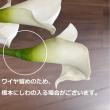 即日★【造花】アスカ/カラーリリィ(S)　ホワイト/A-31387-1