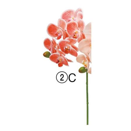 【造花】アスカ/コチョウラン×6 つぼみ×1 レッドクリーム/A-34796-2C