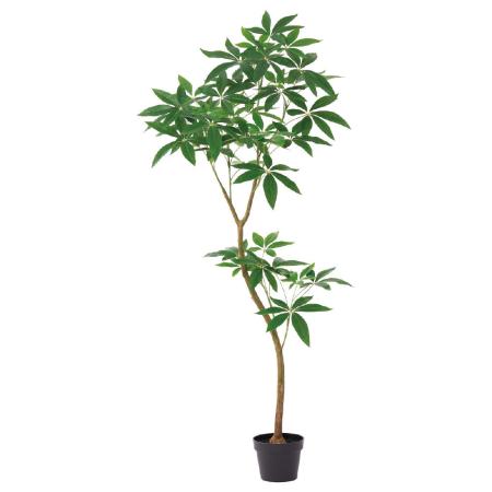 【直送】【人工観葉植物】アスカ/パキラ(ポット付) グリーン/A-51111-51A ※返品・代引・キャンセル不可