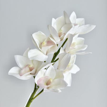 【造花】アスカ/premium collection シンビジューム×7 #052 ホワイトグリーン/AP03035-52