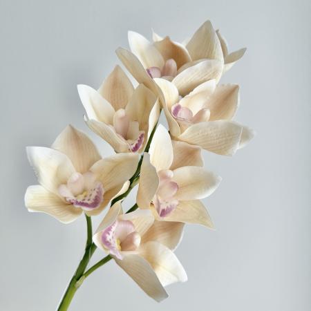 【造花】アスカ/premium collection シンビジューム×7 #008A ソフトベージュ/AP03035-8A