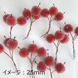 即日★NatureDesigns/シュガーアップルピック20mm　レッド　46085/46085