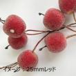 即日★NatureDesigns/シュガーアップルピック20mm　レッド　46085/46085