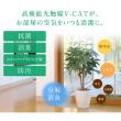 【直送】 【造花】光の楽園/光触媒 清和/2587A70 ※返品・代引・キャンセル不可
