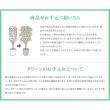 【直送】 【造花】光の楽園/光触媒 清和/2587A70 ※返品・代引・キャンセル不可