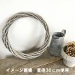 即日★大橋新治商店/柳リースφ30/11-264