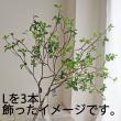 即日★【造花】FIAN/ドウダンツツジ(L)/LS0004A-GR
