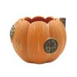 CARNAC/ハロウィンパンプキンハウス25-S-OR オレンジ/CPHW34OR