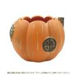CARNAC/ハロウィンパンプキンハウス25-S-WH ホワイト/CPHW34WH