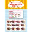 ペガサスキャンドル/たのしい手作りキャンドルセット/06367700