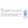 即日★パレス化学/華の精 10ml 100袋入/