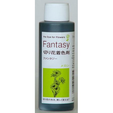 即日★パレス化学/ファンタジー 100ml メロン/1520211