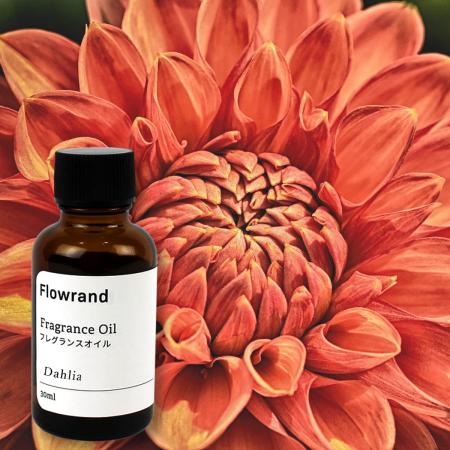 Flowrand/ハーバリウムディフューザー用フレグランスオイル(原液) ダリア 30ml