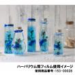 エルベール/ハーバリウム用フィルム 1枚/PPF-240