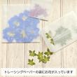 即日★【ドライ】m flowers/押し花 金木犀