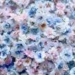 即日★ 【ドライ】m flowers/かすみ草 ドライ 中サイズ 淡色ミックス