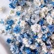 即日★【ドライ】m flowers/かすみ草 ドライ ダークミックス