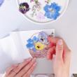 即日★【ドライ】m flowers/押し花絵葉書レクリエーションキット (1セット10人分)