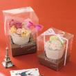HEADS/BKFフラワークリアBOX本体-L(10枚)/B-BKF-FBL
