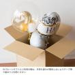 【直送】HEADS/デリバリーカートン-1(20枚)/D-1※返品・代引き不可