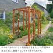 【直送】住まいスタイル/天然木製アーチ 190 1台 「Flex Pergola」(フレックス パーゴラ) ライトブラウン
