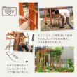 【直送】住まいスタイル/天然木製アーチ 190 1台(土中用金具セット) 「Flex Pergola」 ライトブラウン