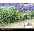 特価◎【直送】住まいスタイル/アイアンミニフェンス(リーフ) 10枚組 ブラック/IPN-7238TG-10P