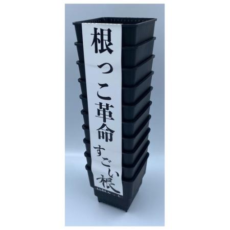 合同会社丸山農園/すごい根 スクエアショート2.5号 10個セット CP74B-10 クロ