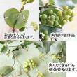 【生花】国産サンキライ(枝物)三宅島山上さん【早締切-74】※必ず商品説明お読みください。