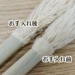 【生花】穂だしパンパス【晩生タイプ】(剥き)※商品説明をご確認下さい