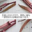 【生花】赤オクラ(実つき枝)70センチ程度【OT】※入荷少