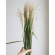 【生花】ススキ穂付き　70cm- 【OT】常陸大宮ほか