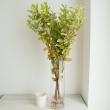 【生花】紅葉ヒペリカム(枝もの)70cm-　【OT】※商品説明お読みください。