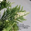 【生花】長作園のコニファー　スワッグMIX　40cm程度　束単位【FJ】