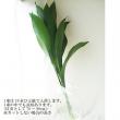 【生花】青ハラン　90cm程度※　【FJ】
