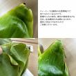 【生花/予約】<50cm>ティーリーフ(全長 約50cm・葉の部分約40cm)※輸入品