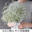 【生花】カスミ草　2Lサイズ(ペールスターなど)【OT】