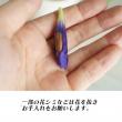 【生花】リンドウ(紫)50cm- 【OR-5】