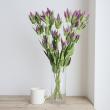 【直前!!!】リンドウ(ピンク系)60cm程度